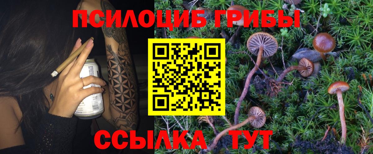 Галлюциногенные грибы Cubensis  Вход с VPN  Белореченск  Псилоцибиновые грибы GOLDEN TEACHER 